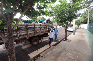 Foto - COOPAFI entrega de alimentos nas escolas 2024