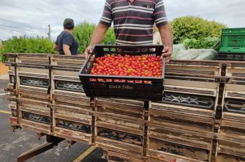 Foto - COOPAFI entrega de alimentos nas escolas 2024