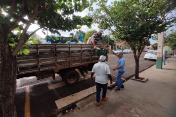 Foto - COOPAFI entrega de alimentos nas escolas 2024