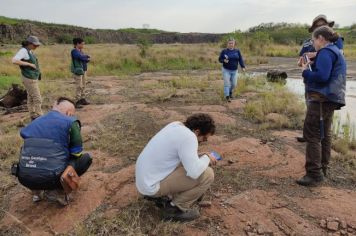 Foto - SOCIEDADE GEOLÓGICA DO BRASIL - LAVA EM CORDAS, BANDEIRANTES-PR2023