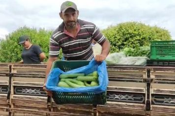 Foto - COOPAFI entrega de alimentos nas escolas 2024