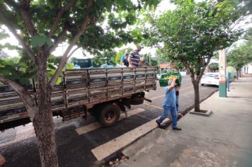 Foto - COOPAFI entrega de alimentos nas escolas 2024