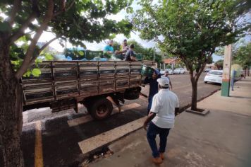 Foto - COOPAFI entrega de alimentos nas escolas 2024