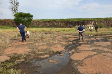 Foto - SOCIEDADE GEOLÓGICA DO BRASIL - LAVA EM CORDAS, BANDEIRANTES-PR2023