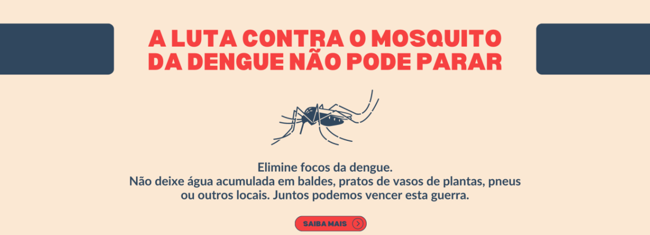 Elimine criadouros da dengue.