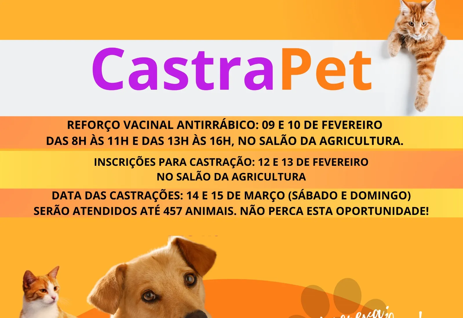 BANDEIRANTES RECEBE NOVA EDIÇÃO DO PROGRAMA CASTRAPET E DIVULGA CRONOGRAMA DE ATIVIDADES